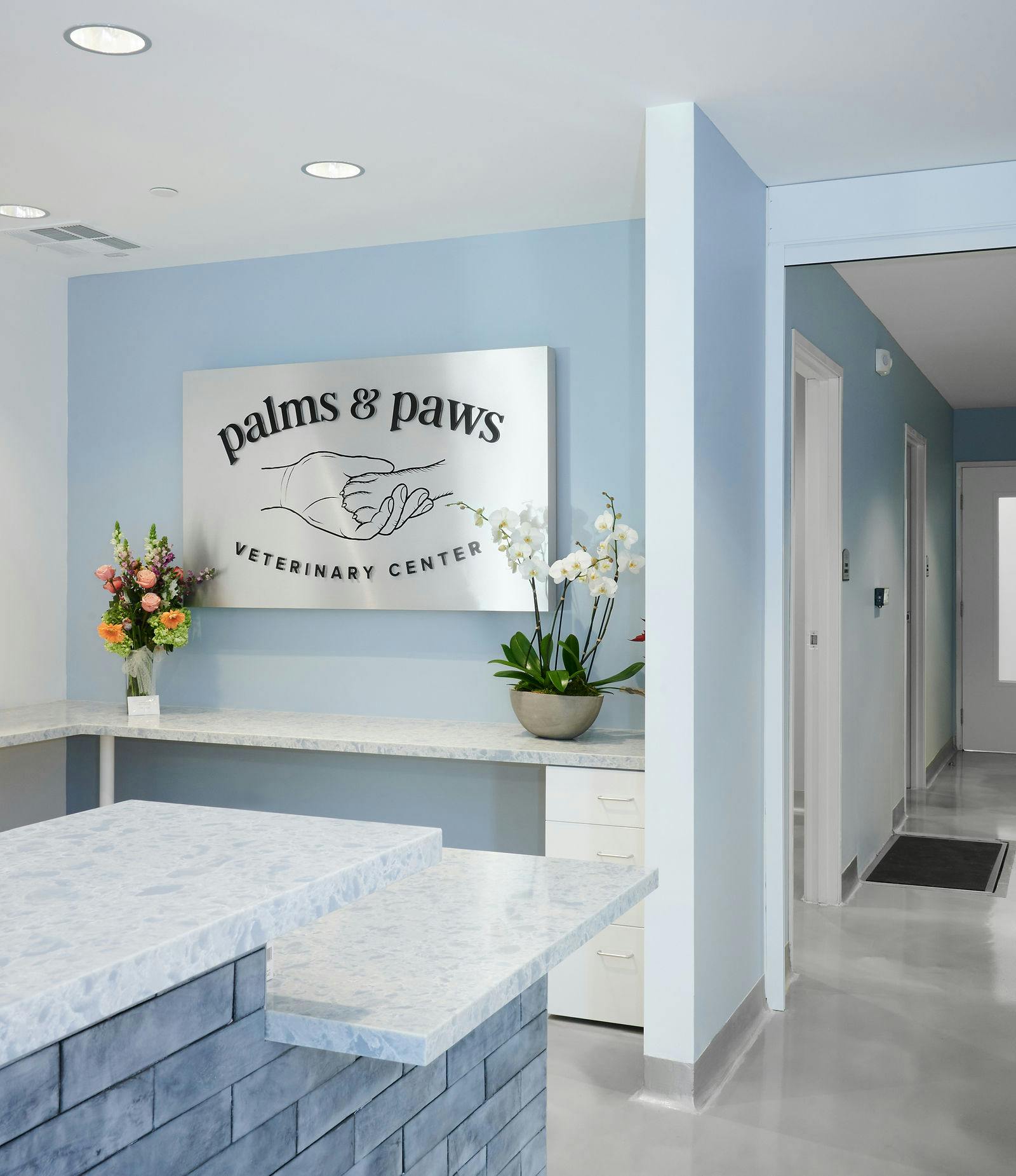 palms and paws veterinary clinic for dogs cats and small animals