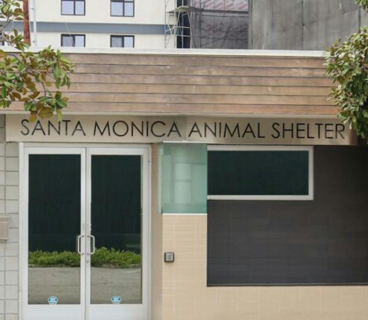 santa monica animal shelter