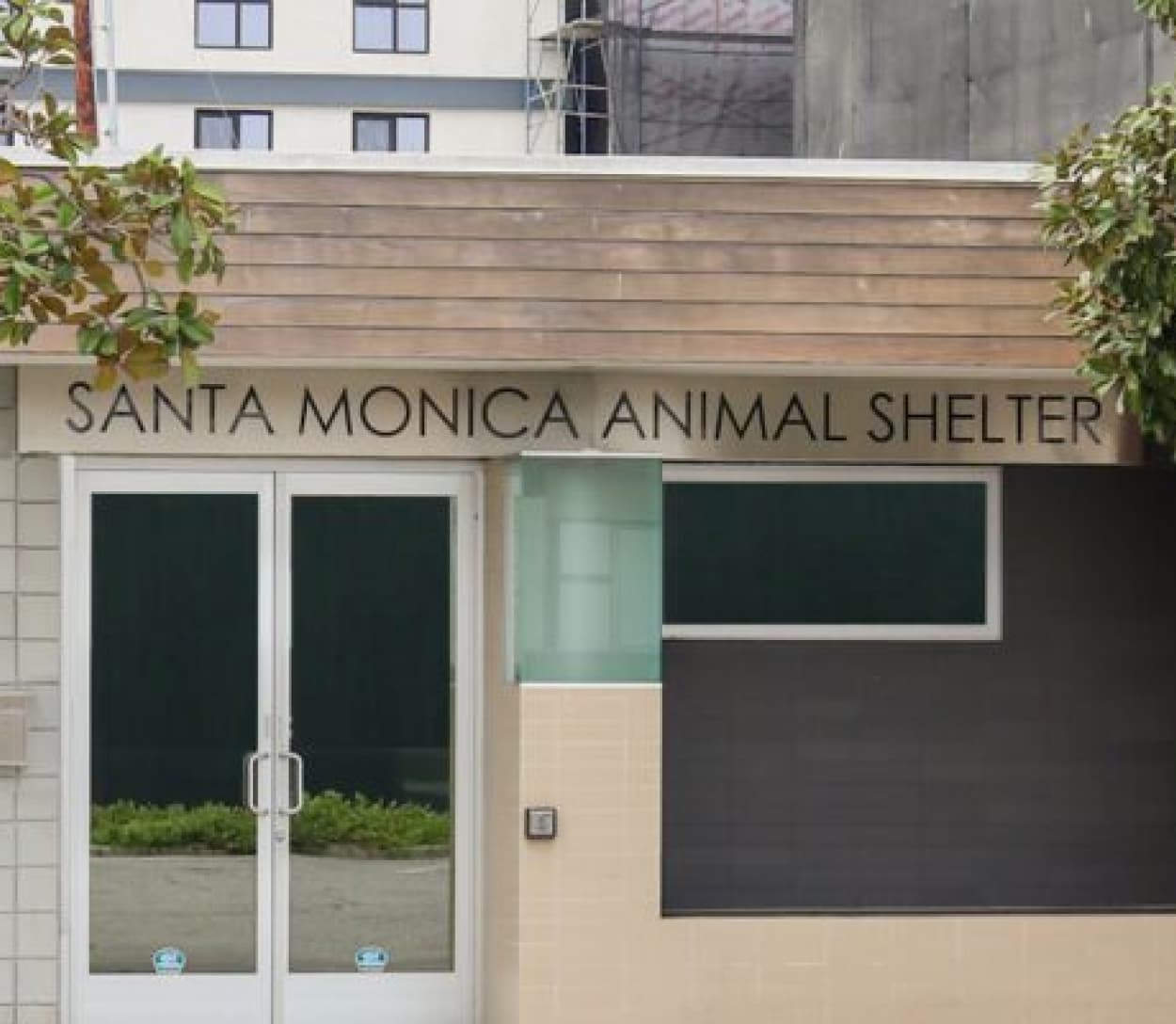 santa monica animal shelter